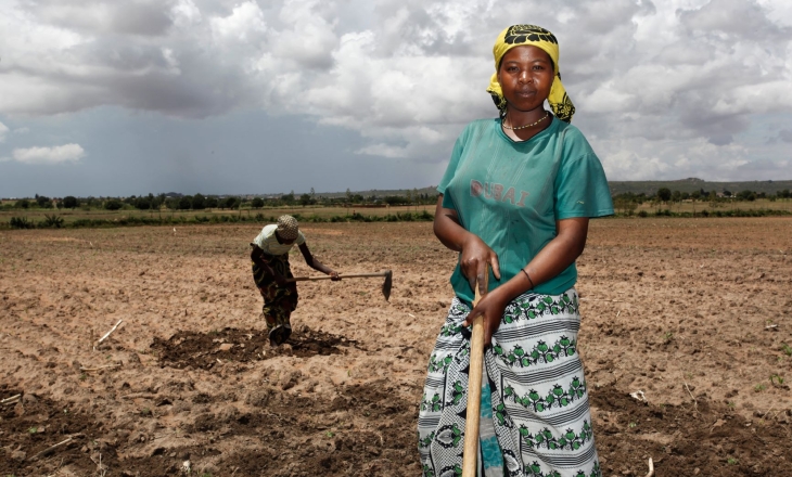 Due Diligence in Cotton Supply Chains Is a Real Challenge