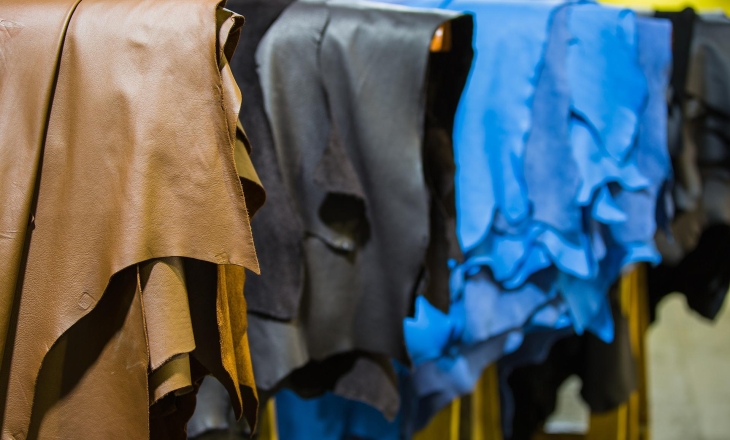 In Future, Tanneries Will Get Hides as By-product from Regenerative Farming