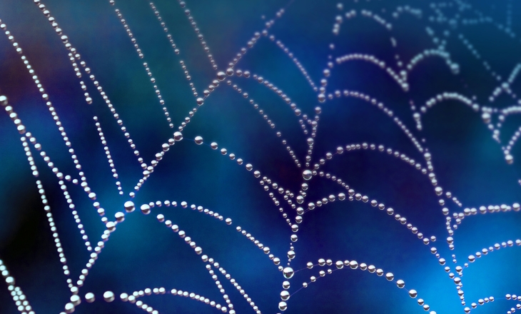 Focus for Bio-industries is How to Scale Up, Commercialise Innovations and Get Funding