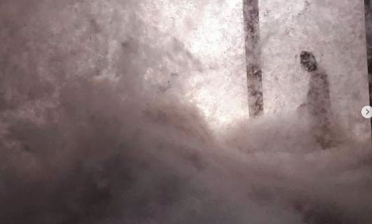 Flocus Your Attention: A Novel Initiative is Resurrecting a Forgotten, Regenerative Fibre