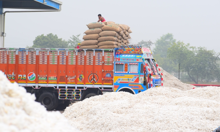 There is a Mismatch Between the Calendar Cycles of Cotton Production and Fashion Industry
