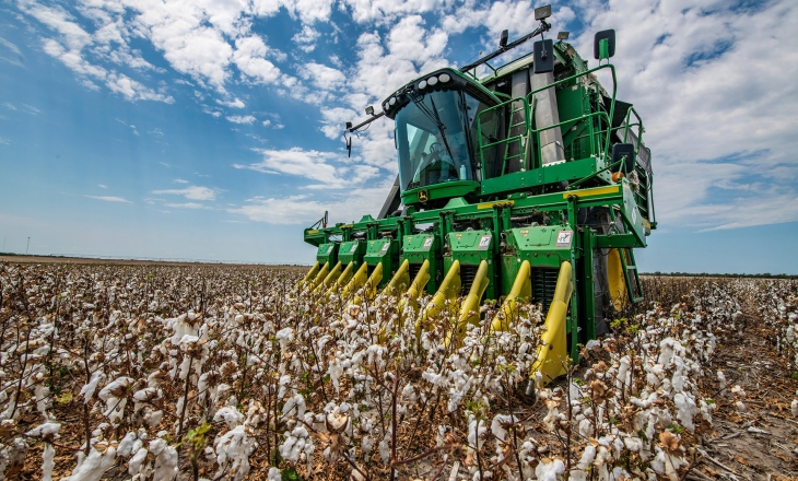 Pricing is a Key Factor Influencing the Choice Between Cotton and Polyester