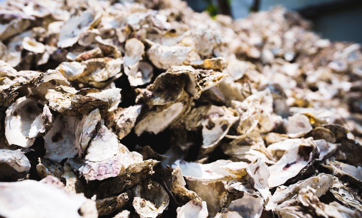 The World is Your Oyster: Churning Sustainable Textiles with Discards from the Sea